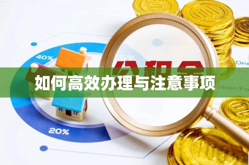 迎泽如何高效办理与注意事项