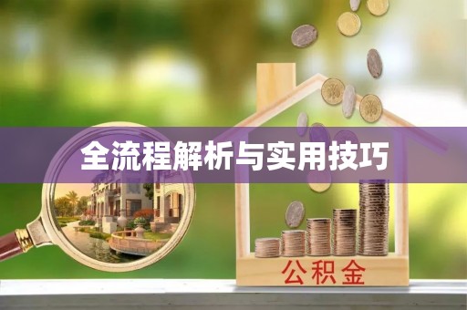 迎泽全流程解析与实用技巧