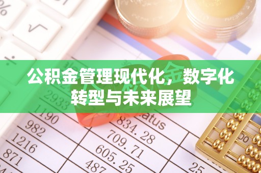 迎泽公积金管理现代化，数字化转型与未来展望