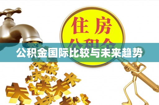 迎泽公积金国际比较与未来趋势