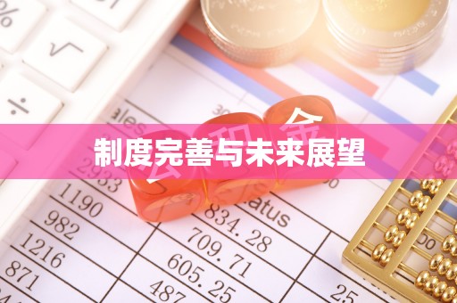 迎泽制度完善与未来展望