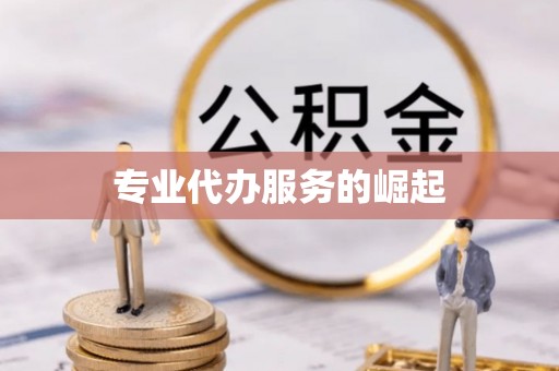 迎泽专业代办服务的崛起