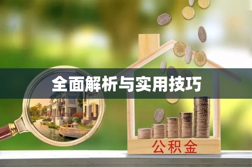 迎泽全面解析与实用技巧