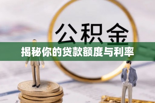 迎泽揭秘你的贷款额度与利率