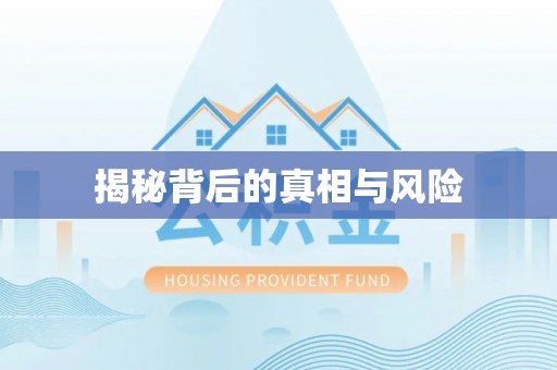 迎泽揭秘背后的真相与风险