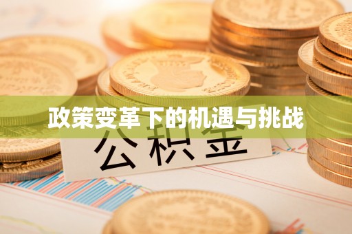 迎泽政策变革下的机遇与挑战