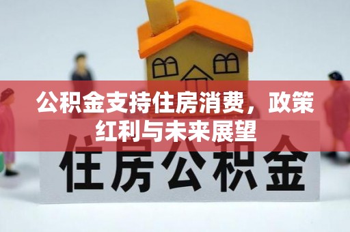 迎泽公积金支持住房消费，政策红利与未来展望