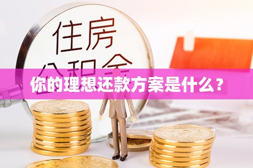 迎泽你的理想还款方案是什么？
