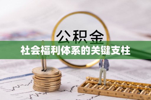 迎泽社会福利体系的关键支柱