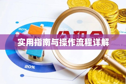 迎泽实用指南与操作流程详解