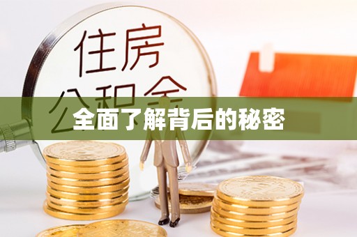 迎泽全面了解背后的秘密