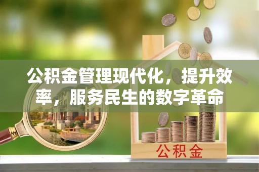 迎泽公积金管理现代化，提升效率，服务民生的数字革命