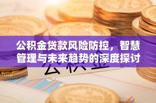 迎泽公积金贷款风险防控，智慧管理与未来趋势的深度探讨