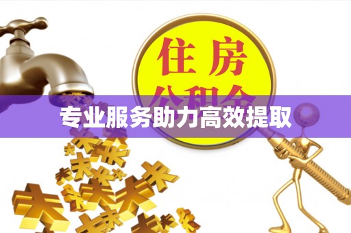 迎泽专业服务助力高效提取
