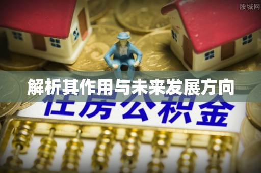 迎泽解析其作用与未来发展方向