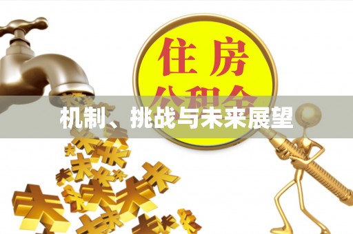 迎泽机制、挑战与未来展望