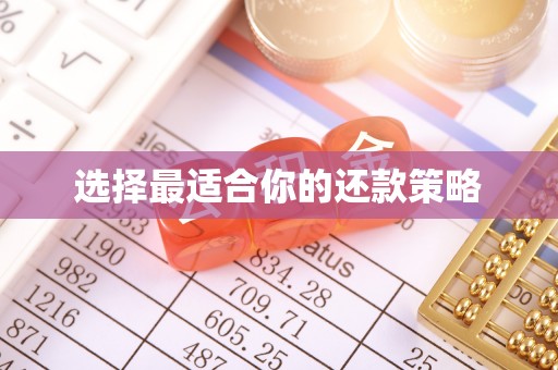 迎泽选择最适合你的还款策略