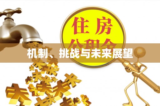 迎泽机制、挑战与未来展望