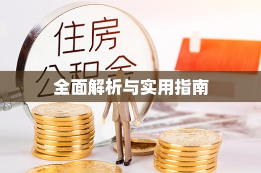 迎泽全面解析与实用指南