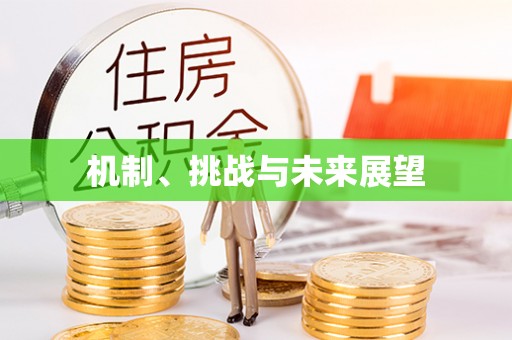 迎泽机制、挑战与未来展望